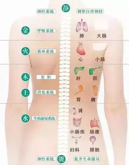 健康的晴雨表,關鍵就在背部,排濕毒僅需5個簡單動作!
