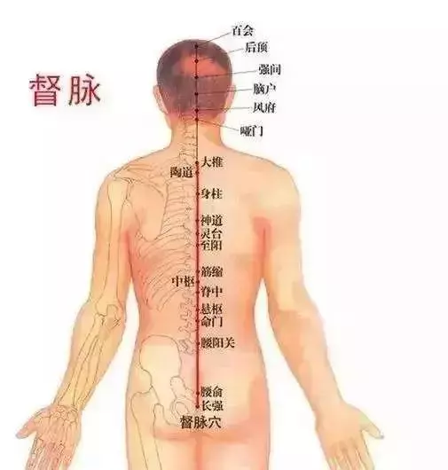 健康的晴雨表,關鍵就在背部,排濕毒僅需5個簡單動作!
