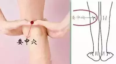 健康的晴雨表,關鍵就在背部,排濕毒僅需5個簡單動作!