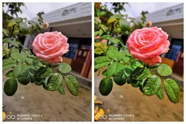 華為nova3系列到底有何魅力,在國內出貨量竟然破200萬!