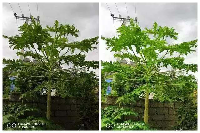 華為nova3系列到底有何魅力,在國內出貨量竟然破200萬!