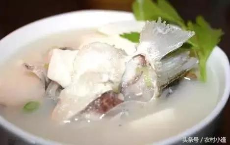 無敵好吃的40種菜,學起來、家裡宴客,這些菜絕對能撐場面!