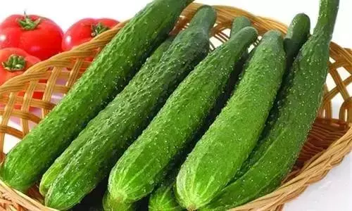 12種家常蔬菜營養、功效大不同,附家常菜譜(收藏)