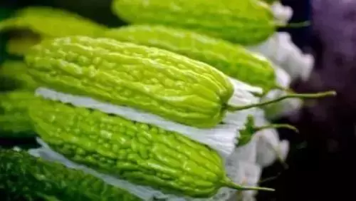 12種家常蔬菜營養、功效大不同,附家常菜譜(收藏)