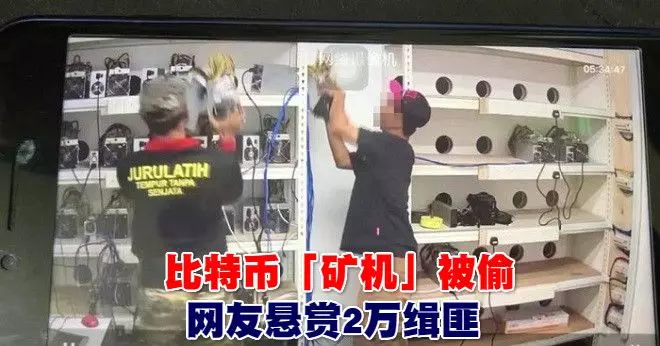 比特幣「礦機」被偷,網友懸賞2萬緝匪,貌美「礦工」怒駡:可惡馬來賊,偷盜方法真可恥