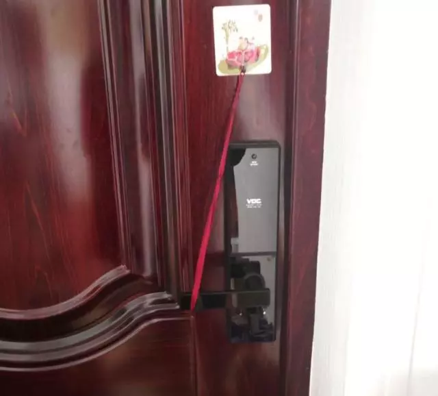實錘!貓真的會開門,一套動作行雲流水,開門比你還溜