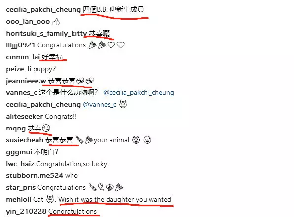 張柏芝疑似展開新戀情,深夜曬懷孕B超照迎接新成員,引起網友一片驚呼!