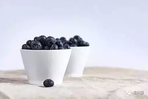 「躺著」也能長壽?百歲老人養生方法大公開!每天睡到自然醒!