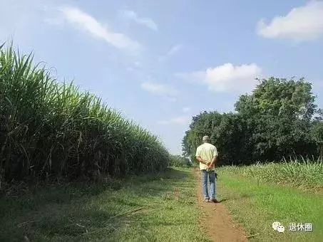 「躺著」也能長壽?百歲老人養生方法大公開!每天睡到自然醒!