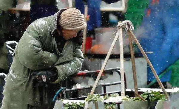 小伙幫賣菜大爺推車,隨後大爺竟然報了警,得知真相小伙感激不已