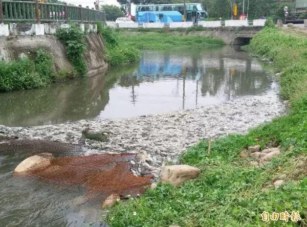 中壢老街溪河岸 快樂動物派對裝置藝術有夠旺