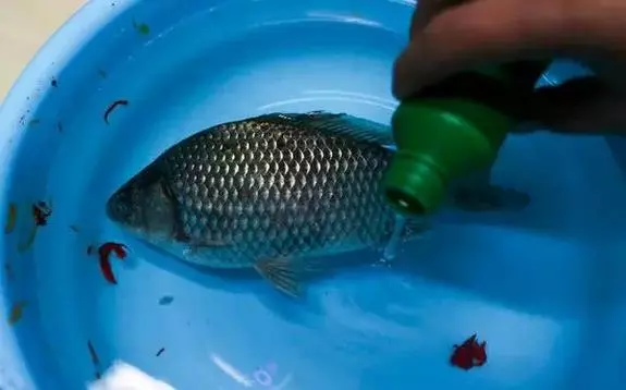 這種魚人們最愛吃,長期吃容易致癌,愛吃魚的要注意了,你買的可能正是這種魚!