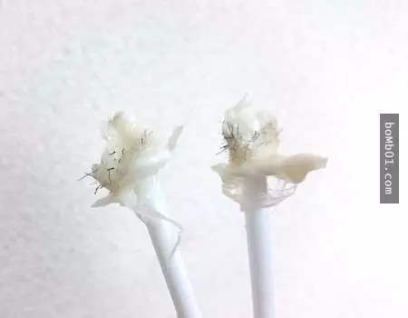 大膽網友犧牲自己替大家試驗「蜜蠟除鼻毛」的效果,結果當棍子一拔出來…超壯觀的!