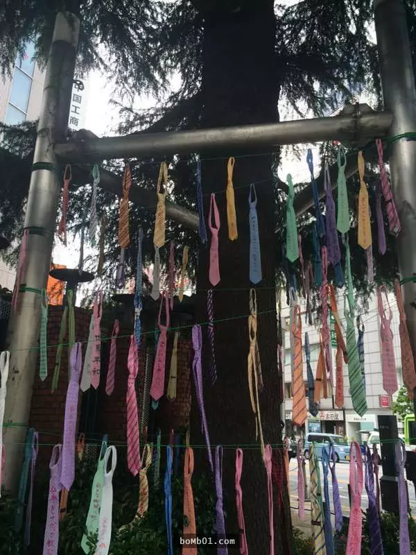 9件「只在日本才會出現」的荒誕景象,住宅區附近怎麼會出現這麼大的鱷魚啦?!