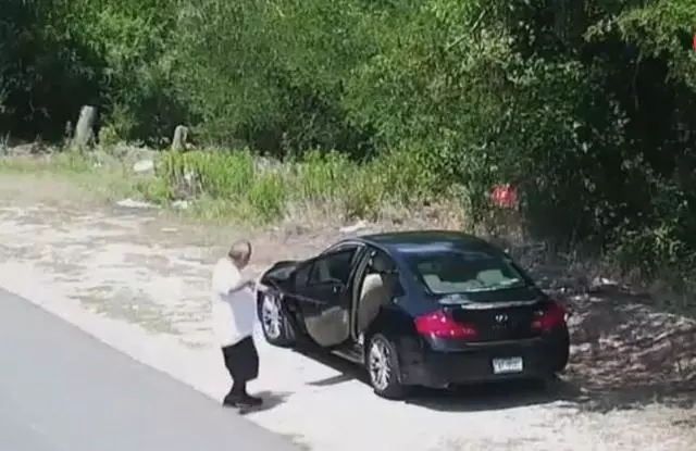 主人將狗狗帶到野外,下車後狗狗滿臉迷茫,但主人的下一個動作讓人看的心碎,心疼可憐的狗狗