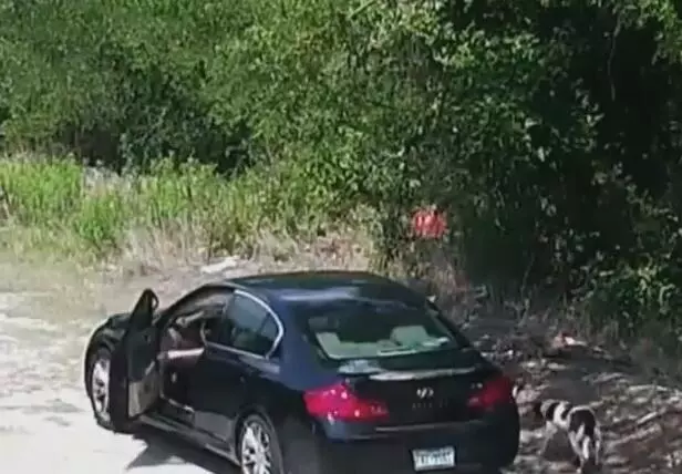 主人將狗狗帶到野外,下車後狗狗滿臉迷茫,但主人的下一個動作讓人看的心碎,心疼可憐的狗狗