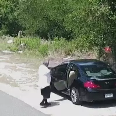 主人將狗狗帶到野外,下車後狗狗滿臉迷茫,但主人的下一個動作讓人看的心碎,心疼可憐的狗狗