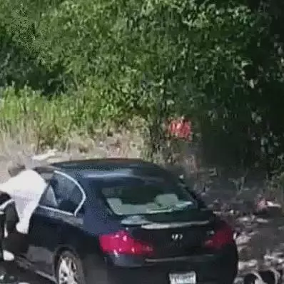 主人將狗狗帶到野外,下車後狗狗滿臉迷茫,但主人的下一個動作讓人看的心碎,心疼可憐的狗狗