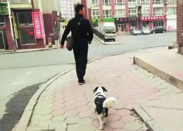 一位好心的先生每天都餵食流浪狗一家,過了一陣子後流浪狗媽媽做出了觸動他心靈的事,從此便成為了一家人。