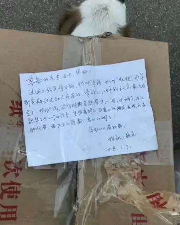天氣這麼冷,母子倆被丟在路邊,不知道狗主是怎麼想的