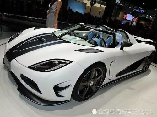 全球最貴十大跑車,第一實至名歸,網友:我的杜拜王子座駕呢?