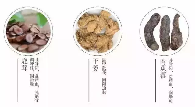 腎虛、脾虛、陰虛、陽虛、氣虛、血虛?這些調理方法有益!