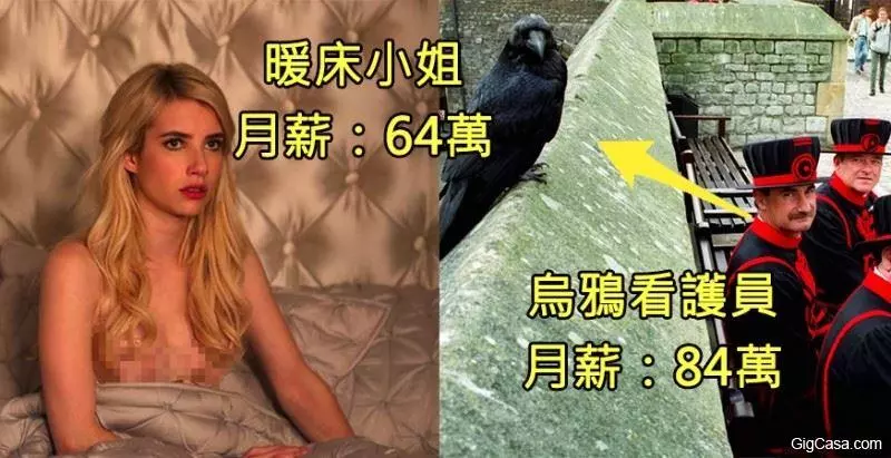 7種想破頭也不知道為什麼這麼「高薪的神祕職業」!#3「獵酷師」月薪100萬元!!