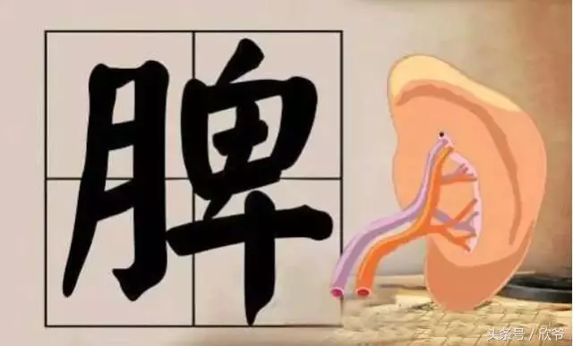 濕氣的典型變現是什麼?快來對照查查!