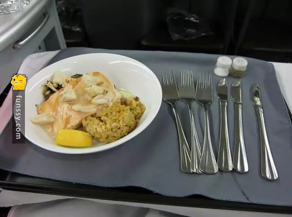 8間知名航空「經濟艙v.s.商務艙」的飛機餐!有錢人的待遇真好啊!