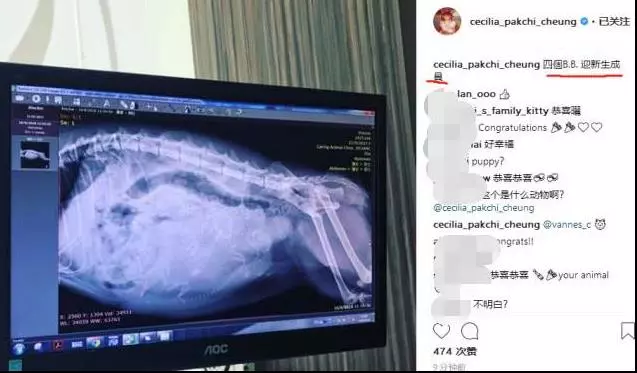 張柏芝淩晨曬B超照宣布歡迎新成員,網友們紛紛送上祝福,好意外!