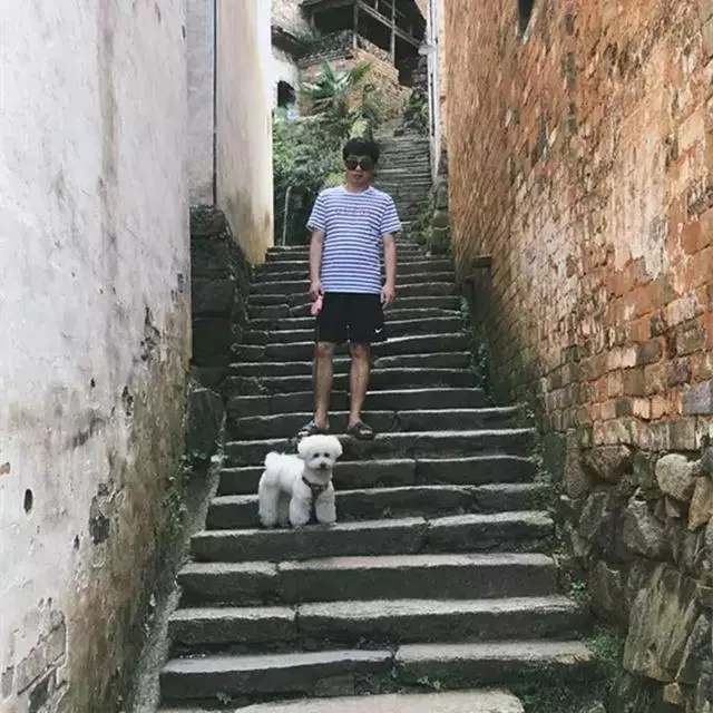 比熊陪主人一同旅行,每個景點都留下了回憶,狗狗:一路相隨