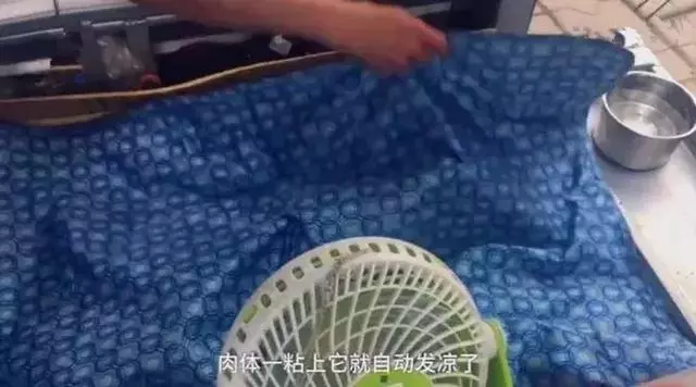 薩摩耶被奶奶當成親孫子,治療後腿花9萬,豪華小車帶著遛彎