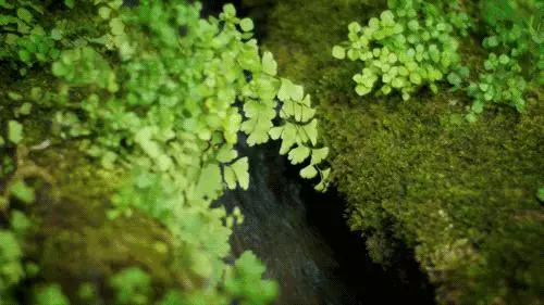 人越是沒錢,越要戒掉這4點毛病,否則你永遠爬不起來