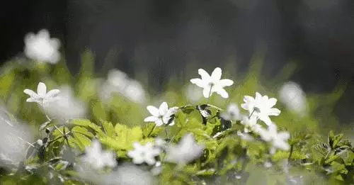 人越是沒錢,越要戒掉這4點毛病,否則你永遠爬不起來