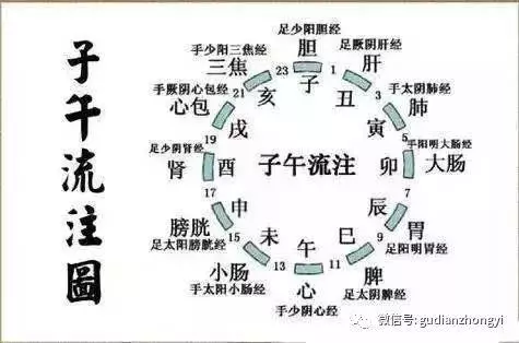 生命即是一團陽氣,養生與治病的關鍵就是養陽!