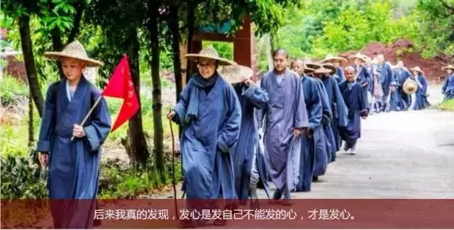 從妙手回春到佛門奇女子,她用英文演講震撼佛壇