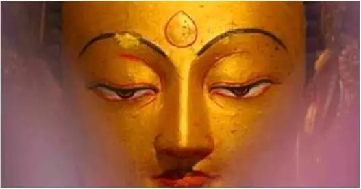 當你有了天眼,你會為自己吃下的每一口肉而哭得死去活來~
