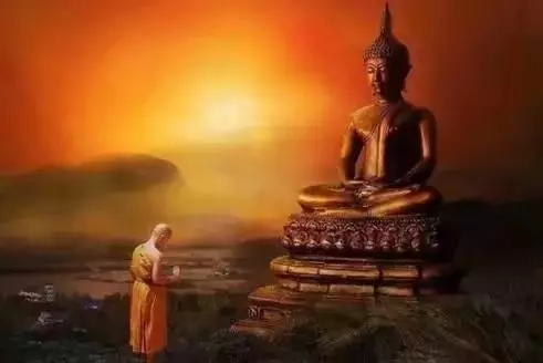 知道你的相貌是怎麼來的嗎?(值得一看)