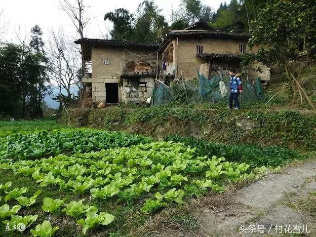 繼母對我恩重如山,她60大壽我給兩千紅包,吃飯接到一個電話,回去我就把婚離了!