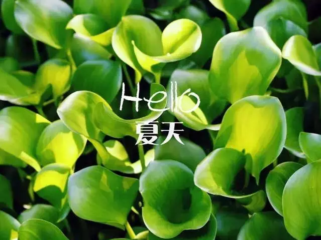 陽氣足百病消,道家九個方法,讓你陽氣十足,遠離寒濕!