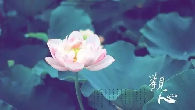 看一看三世因果,前世的他,是你今生的誰?