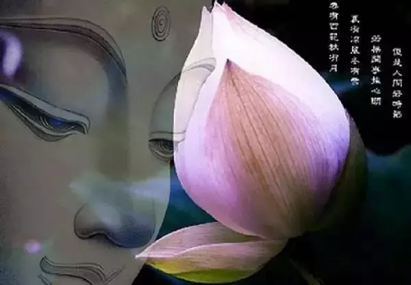 夫妻一旦緣分盡了,會發生哪些情況呢?