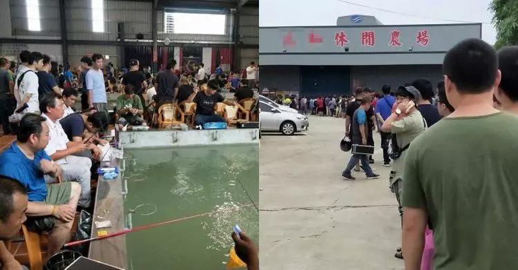 桃園人不用上班？這間釣蝦場擠爆譽為「神場」！釣客排100m也甘願：老闆超敢放蝦！