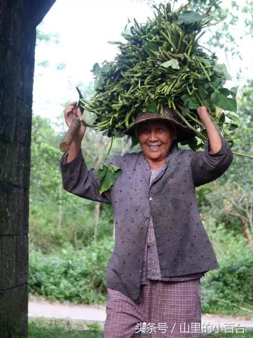 回農村婆婆家,半夜起來上廁所,看到公婆做的事,我面紅耳赤