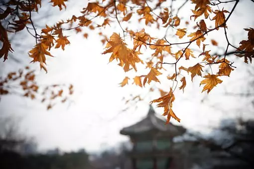 借 錢 給 別 人、一 定 要 記 住 這 幾 句 話!