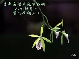 神準!從農曆生日看出你的前世因果輪迴!原來我上輩子是養牛人家...