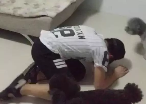 主人做仰臥起坐,泰迪自告奮勇,但結局卻讓人笑得差點岔氣