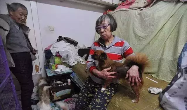 一對老人收養眾多流浪動物,全都養在家裡,網友評價:這是種病