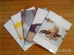 她擁有一張明星臉,不靠父親特權,低調攻讀博士,穿著連像樣的品牌都沒有,這就是馬唯中...