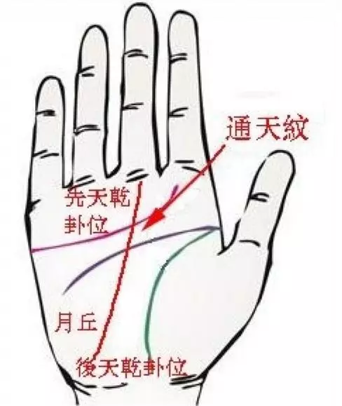 如果你手上有「這條特殊掌紋」就神了!命超好啊!